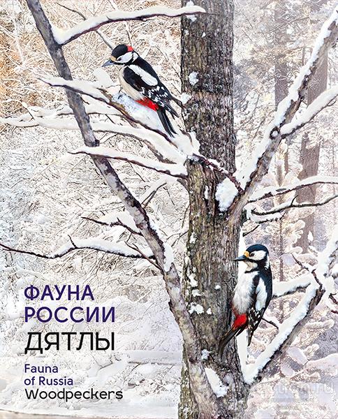 Россия 2018 Сувенирный набор СП2018-015/П Фауна России Дятлы