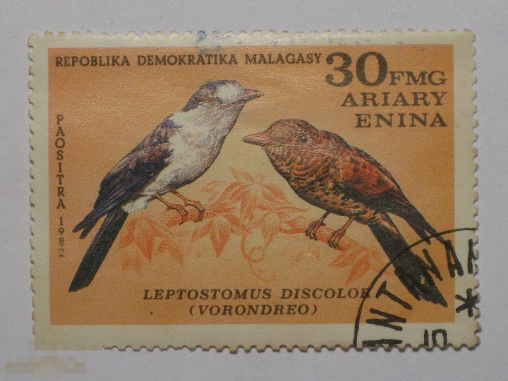 Мадагаскар 1982 Фауна Птицы марка 30 из серии