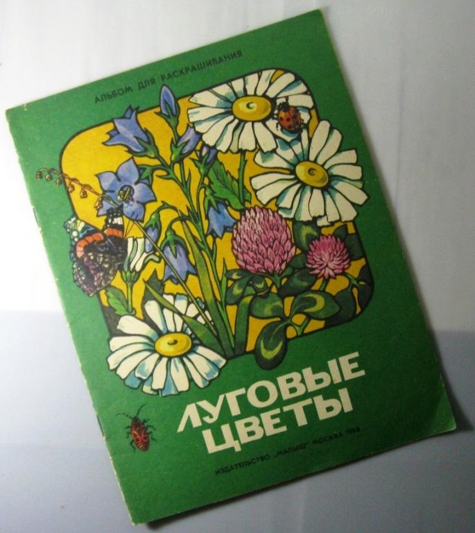 Луговые цветы / альбом для раскрашивания