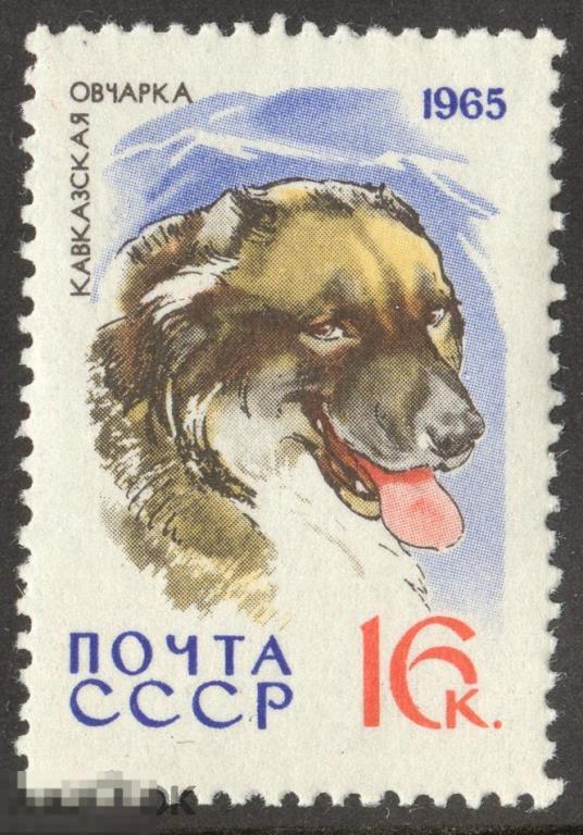 СССР 1965 Фауна Собаки Кавказская овчарка марка 0.16 из серии концовка (д)
