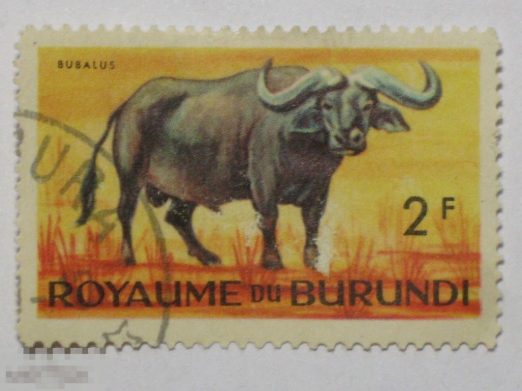 Бурунди 1964 Фауна Буйвол марка 2 из серии