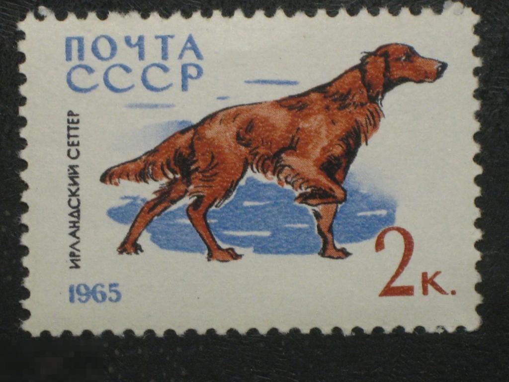 СССР 1965 Фауна Собаки марка 0.02 из серии чистая