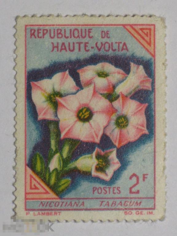 Буркина-Фасо Верхняя Вольта 1963 Флора Цветы марка 2 из серии