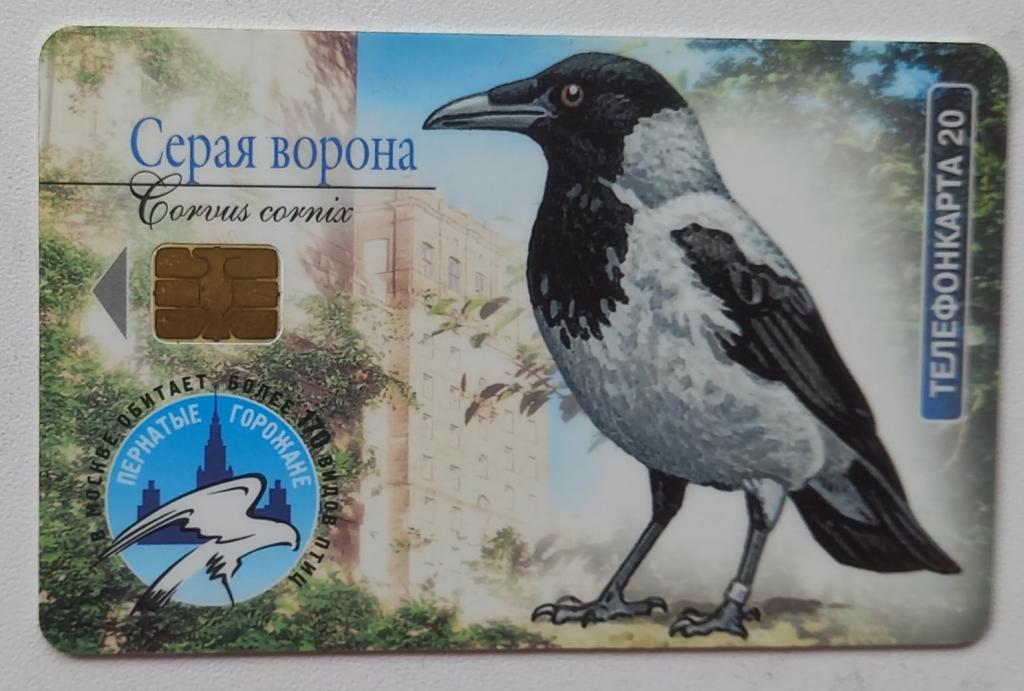 Телефонная карта МГТС  -  Птицы Серая ворона, Галка  - 20 ед Чип 170