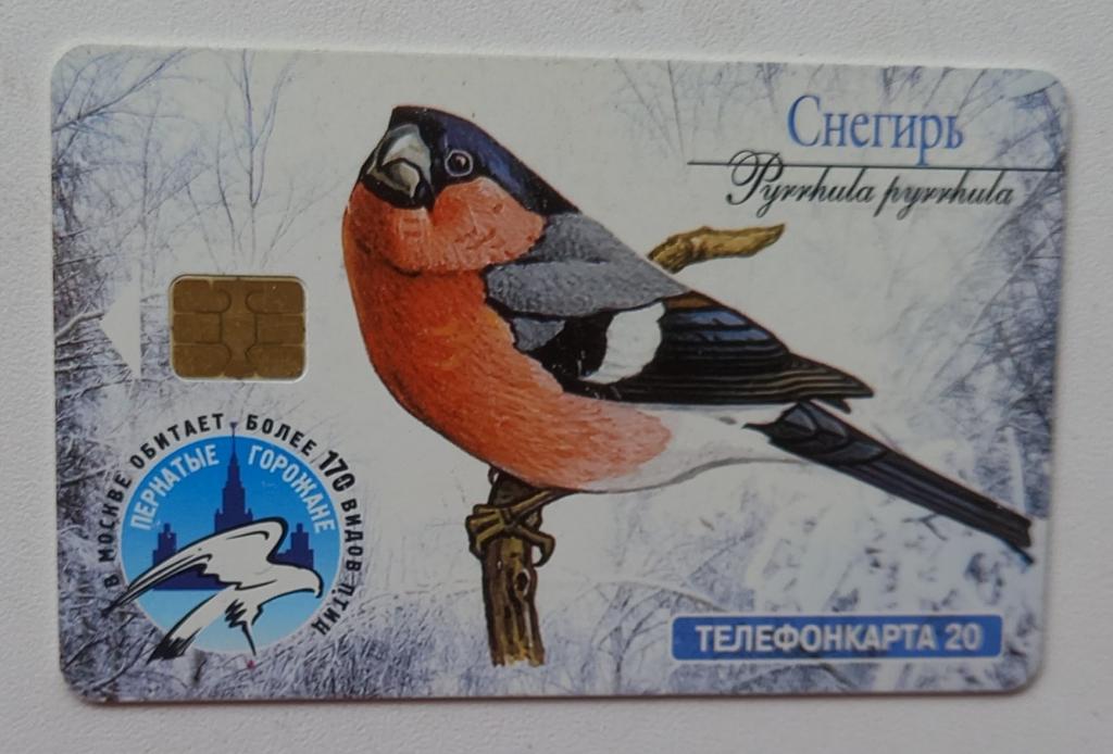 Телефонная карта МГТС  - Фауна Птицы  Снегирь Щегол  - 20 ед Чип 170