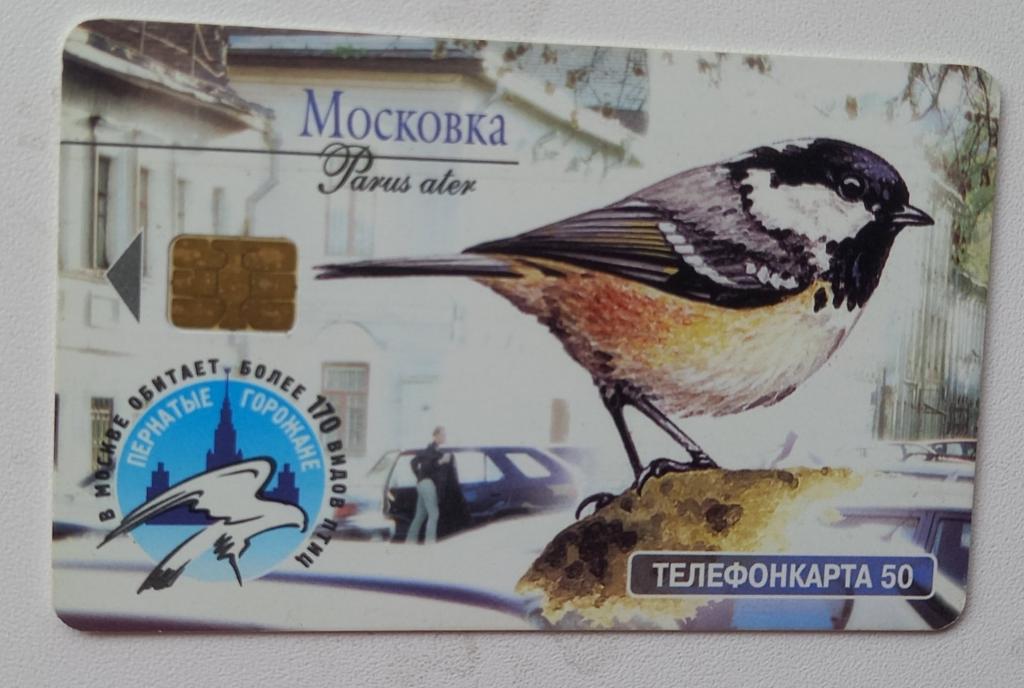 Телефонная карта МГТС  - Фауна Птицы Московка, Лазоревка   - 20 ед Чип 170