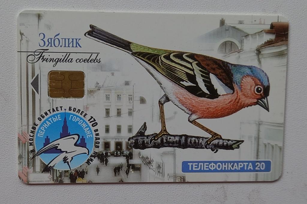 Телефонная карта МГТС  - Фауна Птицы Зяблик Зеленушка  - 20 ед Чип 170