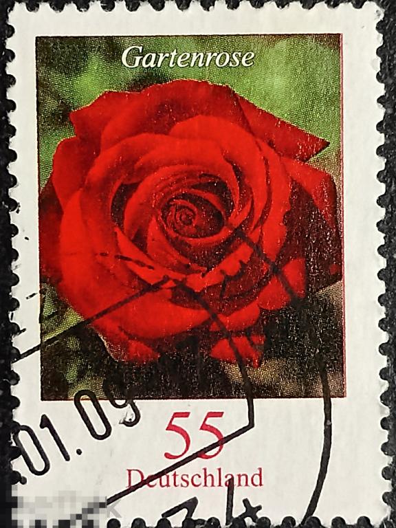 Германия ФРГ 2008 Стандарт Флора Цветы марка 0.55 (и2)