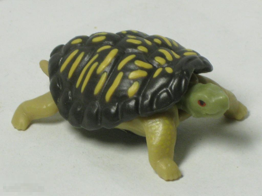 Киндер сюрприз Natoons Северная Америка 2021 VU 353 Черепаха