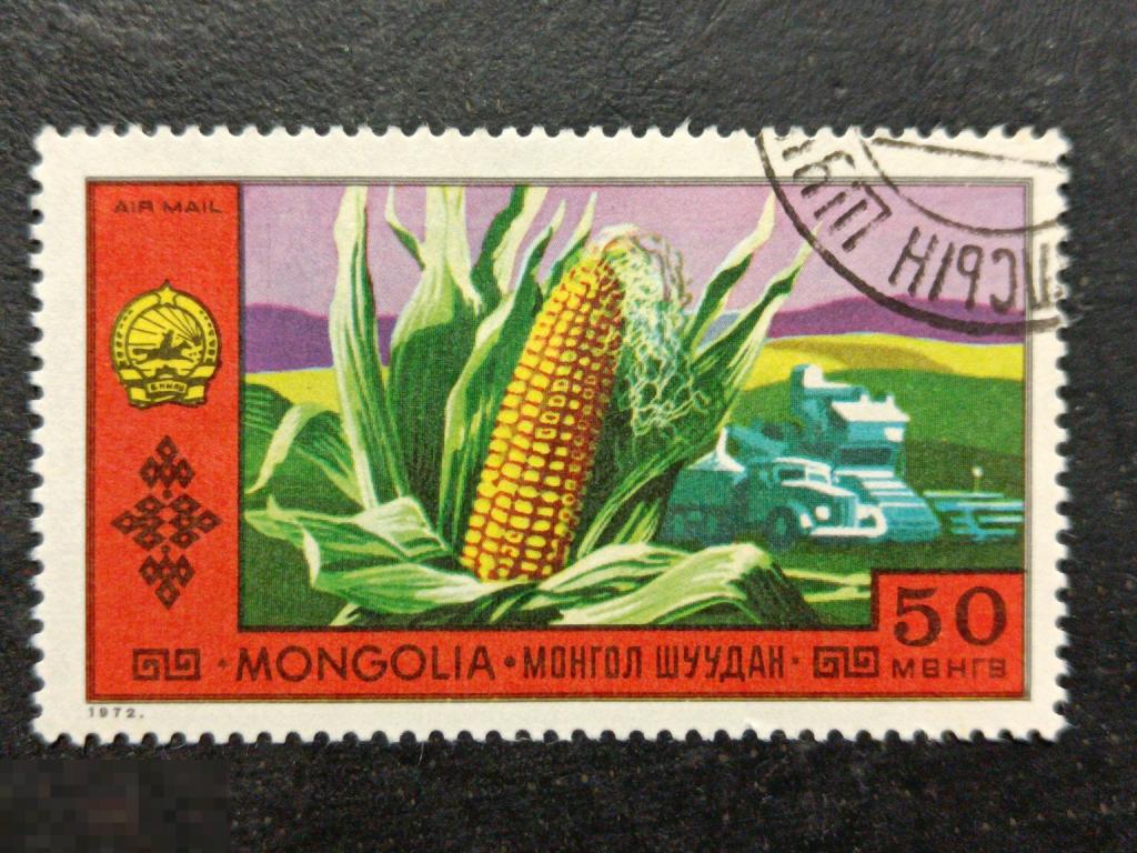 Монголия 1972 Национальные достижения Сельское хозяйство марка 0.50 из серии