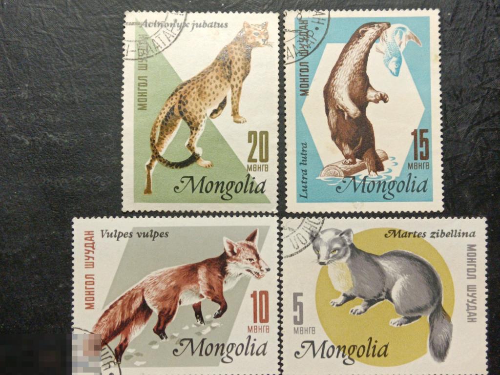 Монголия 1966 Фауна Пушные звери 4 марки из серии
