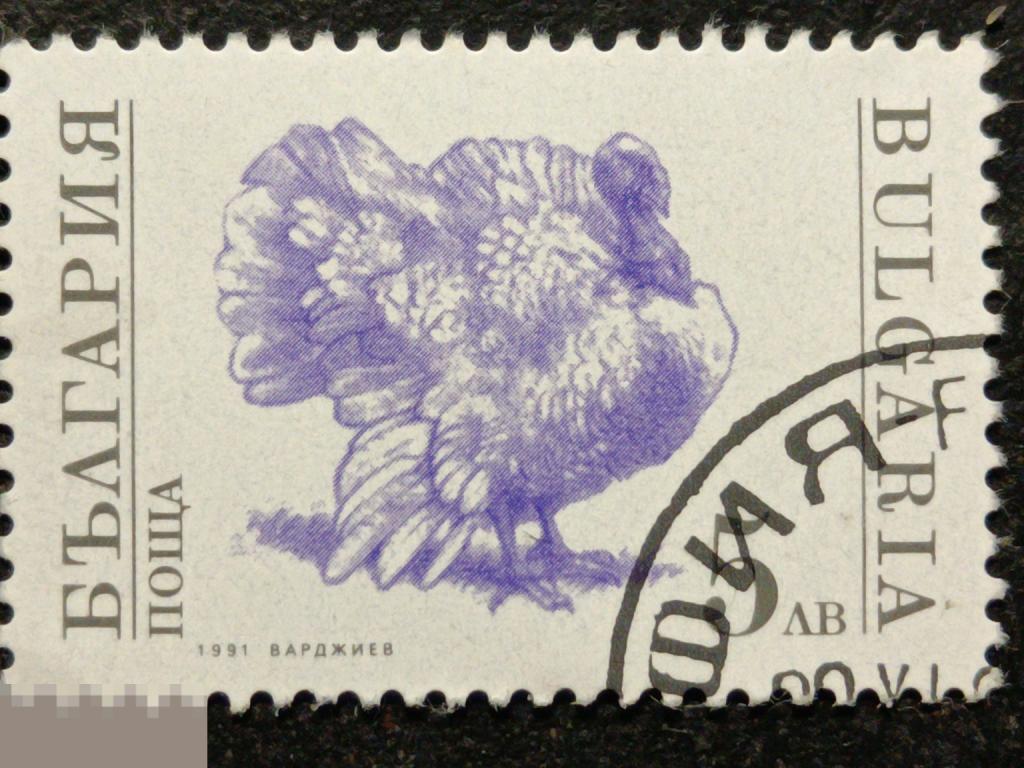 Болгария 1991 Фауна Домашние животные индюк марка 5 из серии (и2)