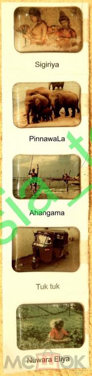 Магниты сувенирные на защитном картоне Шри-Ланка(Sri-Lanka)