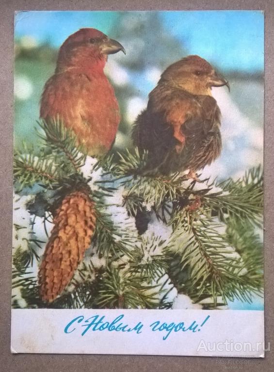 !!! ОТКРЫТКА С НОВЫМ ГОДОМ ПТИЧКИ 1977 ГОД ОРИГИНАЛ !!!