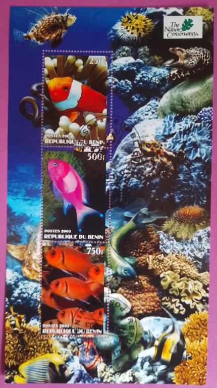 Бенин 2003 Рыбы / Морская фауна (BJ 2003-24) ГАШ,