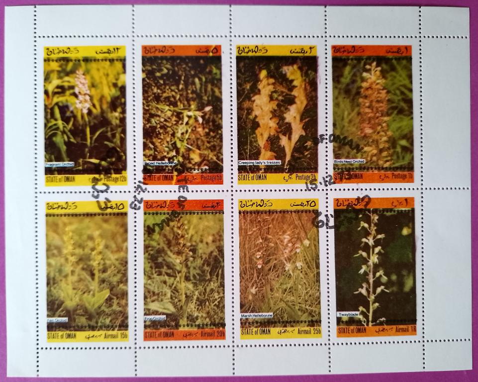 Оман 1973 Орхидеи / Растения (флора) / Цветы (OM 1973-02) ГАШ,