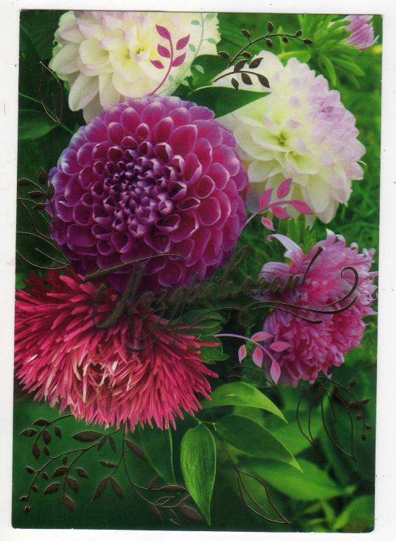 2020 Поздравляем! Цветы Белоруссия Стандартный формат (60)