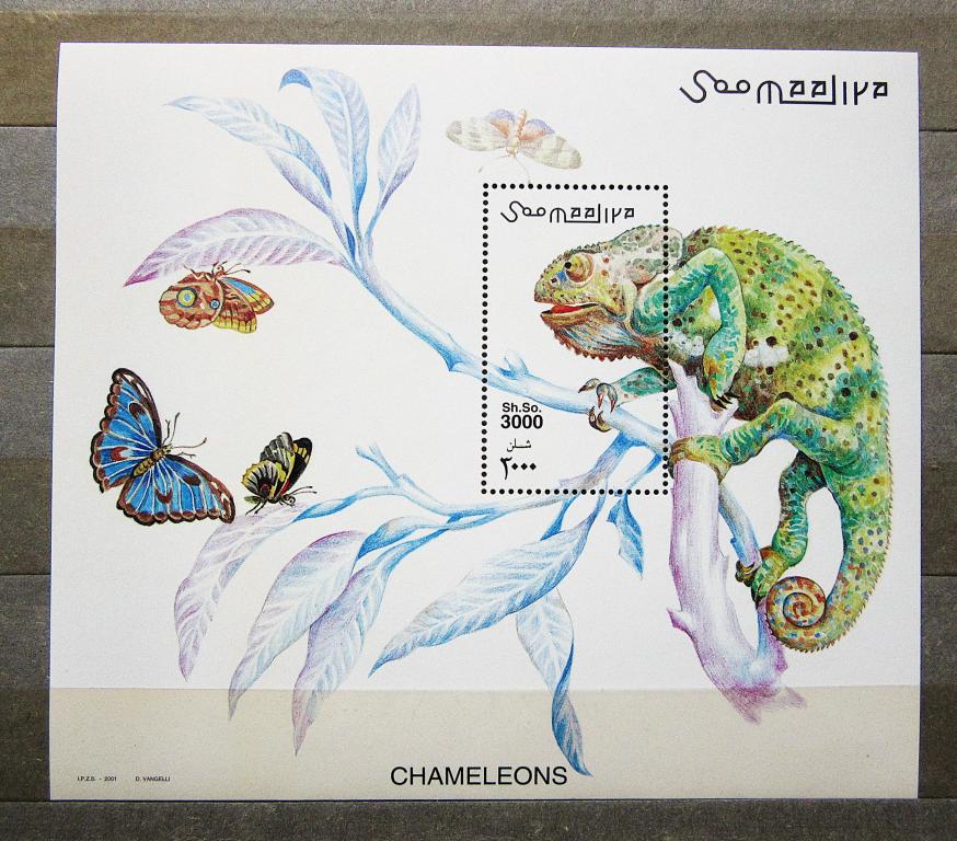 Сомали 2001 г. Фауна Хамелеон Бабочки Блок **MNH