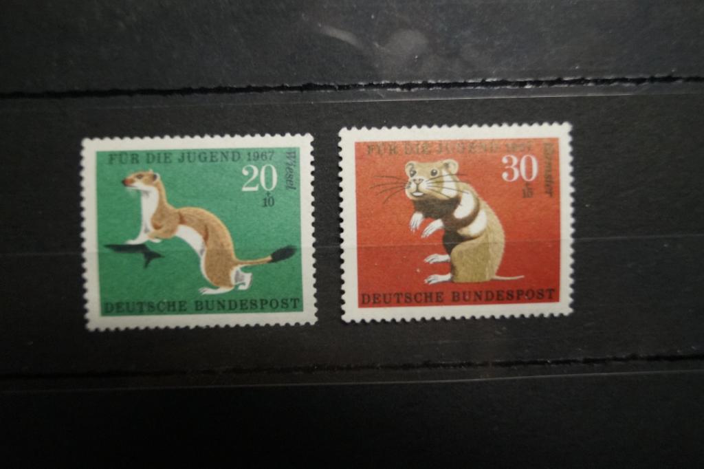 ФРГ 1967г. Ласка Хомяк 2 марки