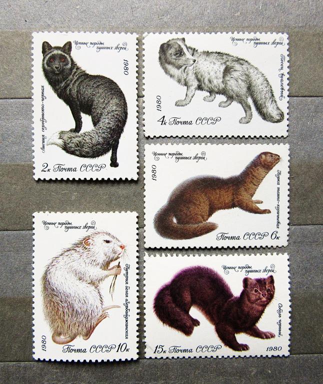 СССР 1980 г. Фауна. Ценные породы пушных зверей. 5м. полн. серия **MNH