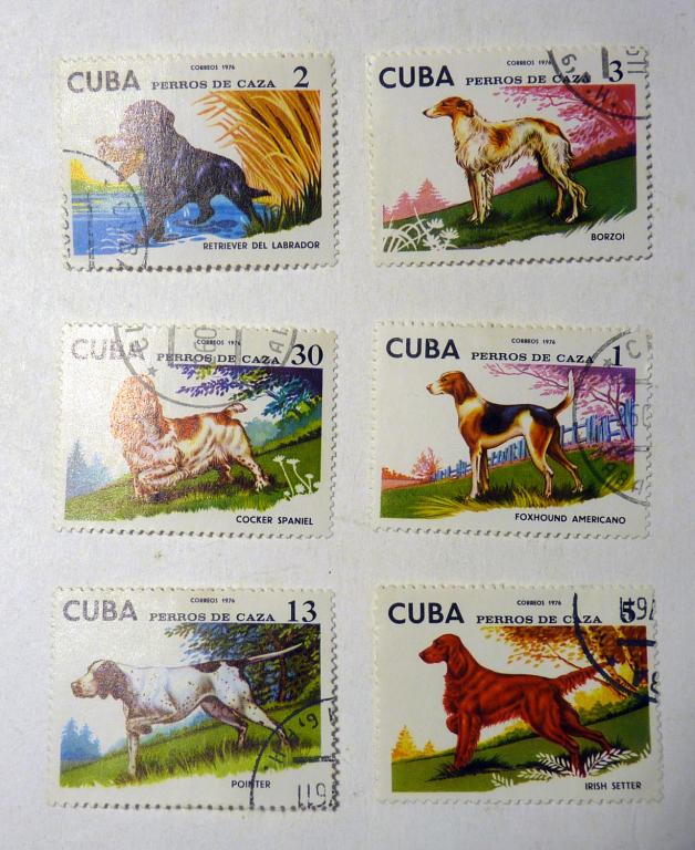 Куба 6 марок 1976 год Собаки гашение