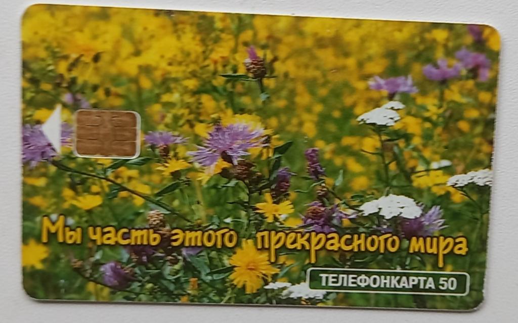 Телефонная карта МГТС - Мы часть этого прекрасного мира- 50 ед Чип - 174