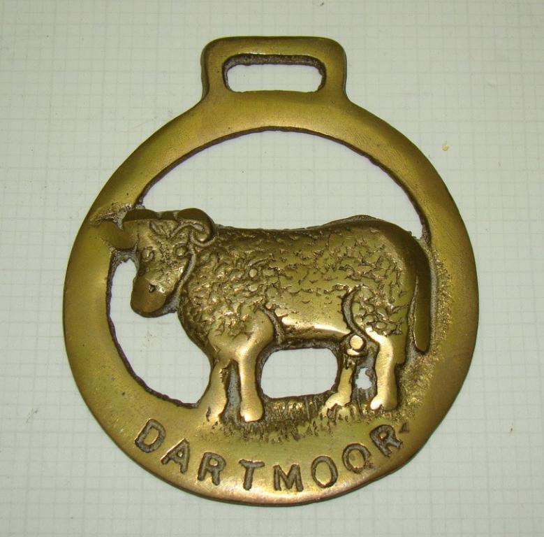 Аксессуар украшение для лошади DARTMOOR (W792)