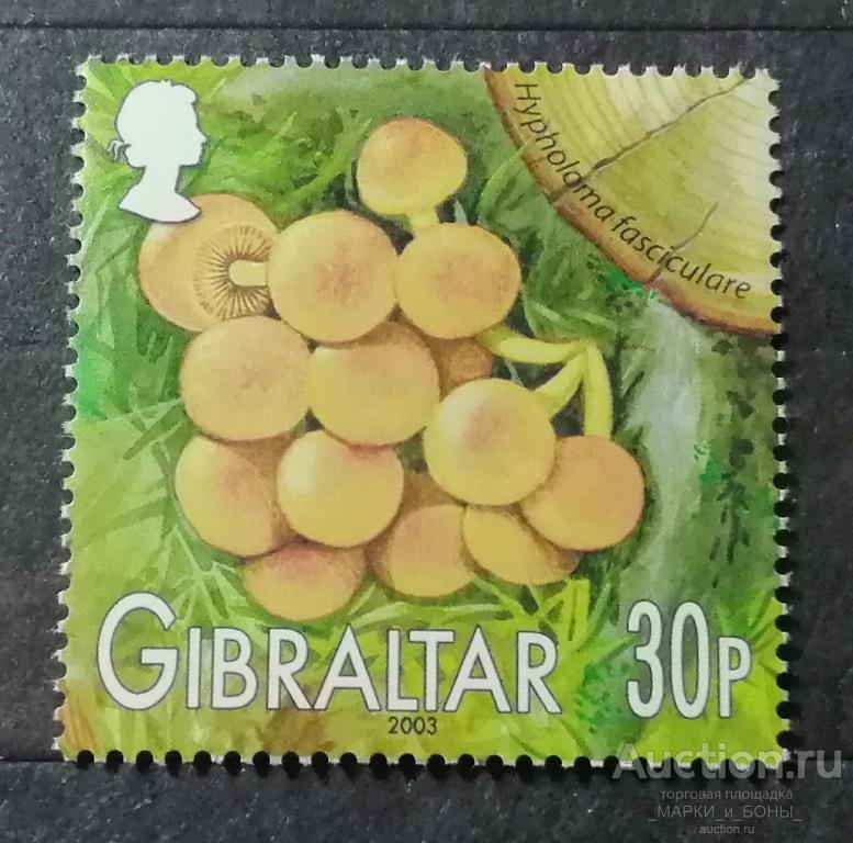 ГИБРАЛТАР 2003г. Грибы Гибралтара. Чистые** (8-261)