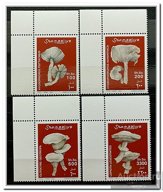 Сомали 2002 год № 962/65 " Мухоморы " MNH**