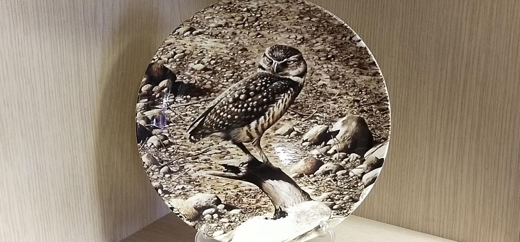 Тарелка " Сова " .Фарфор. Англия.