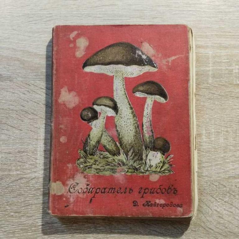 #1702531 Кайгородов Дм Собиратель грибов. С 14-ю раскрашенными (литографированными) таблицами. Ка...