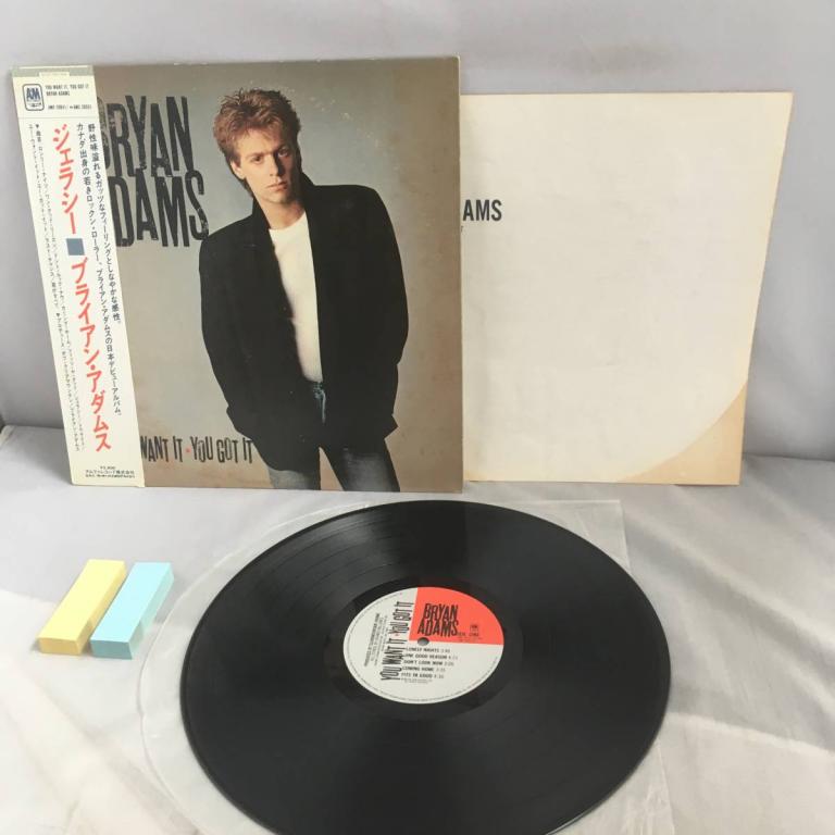 LP bryan adams YOU want IT YOU GOT IT