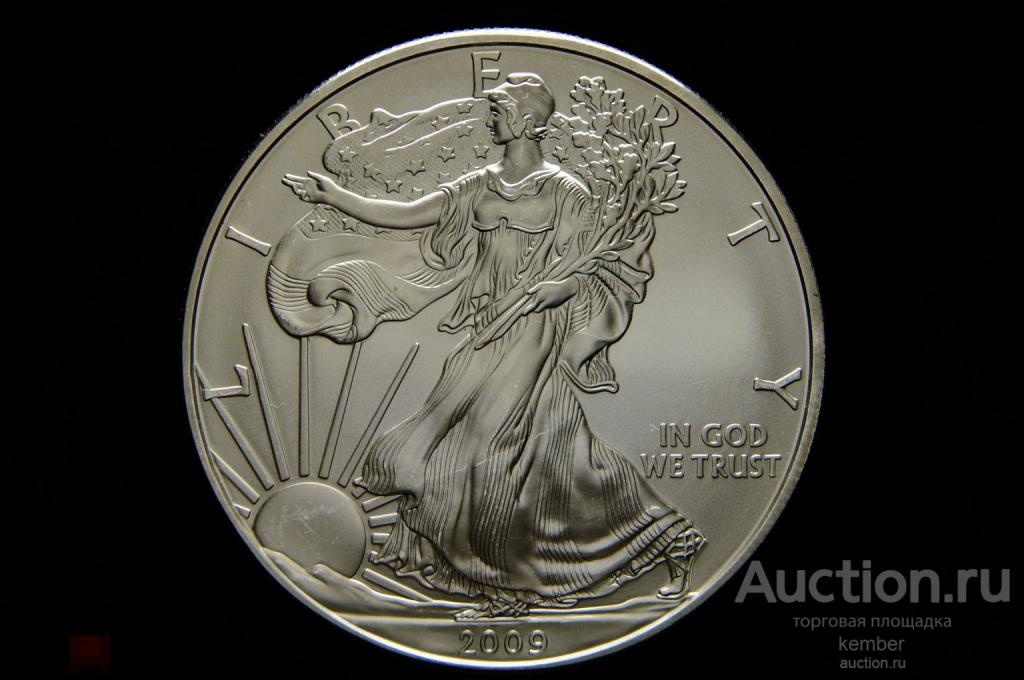 в коллекцию Шагающая свобода США 1 доллар 2009 UNC серебро 0028