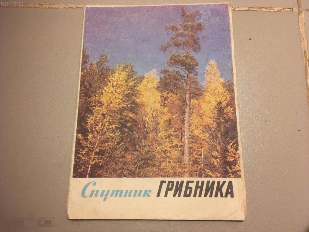 Спутник грибника грибы описание СССР