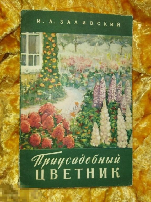 заливский. приусадебный цветник 1959 ссср