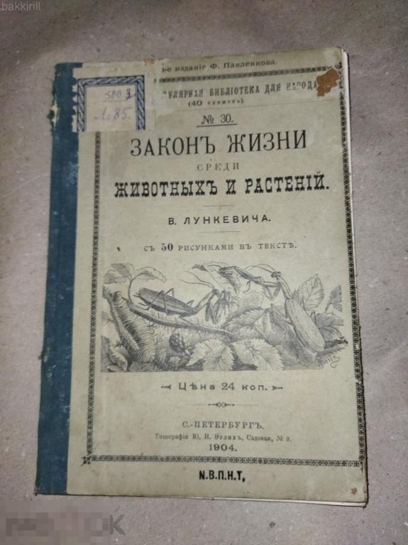 закон жизни животных и растений лункевича 1904