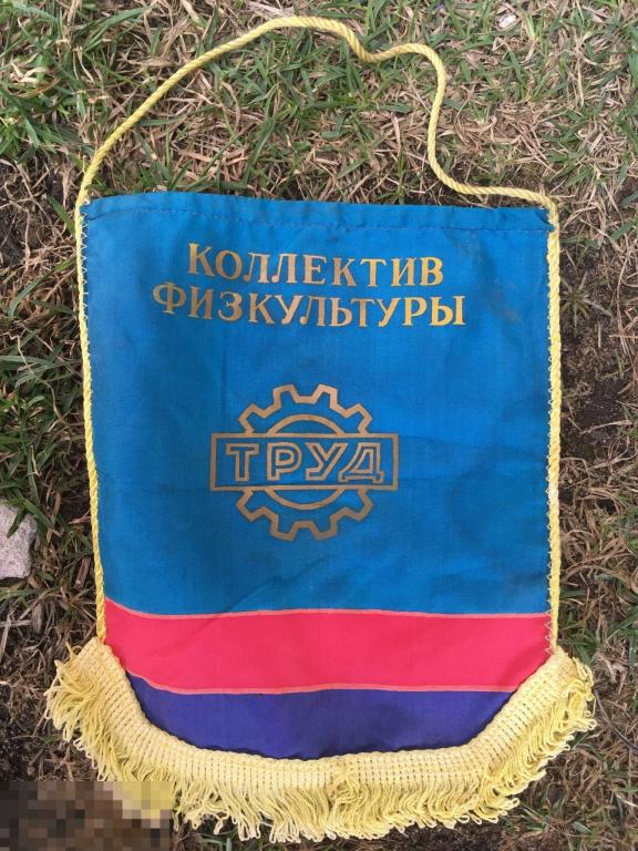 Коллектив физкультуры Труд СССР вымпел