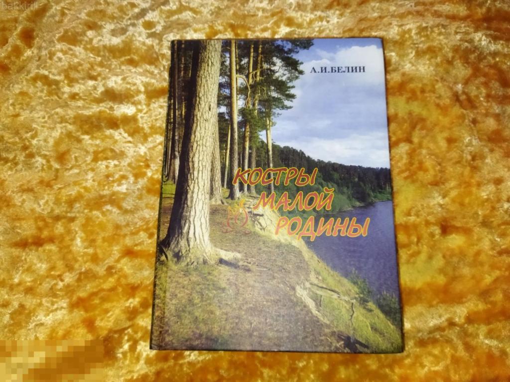 Белин. Костры малой Родины Иваново СССР пионерия лагерь