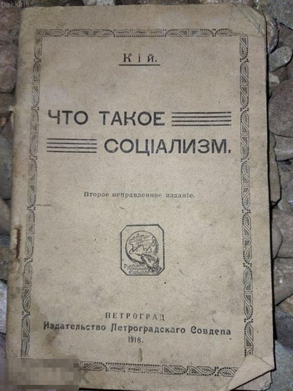 кий. что такое социализм 1918