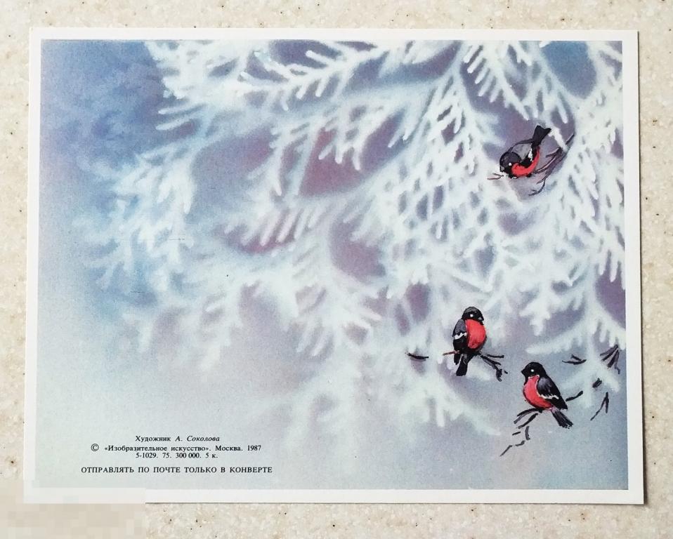 Шк37  Соколова С Новым годом! 1987 г. Снегири Чистая Без сгиба