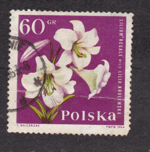 Польша 1964 Флора Цветы (2615)