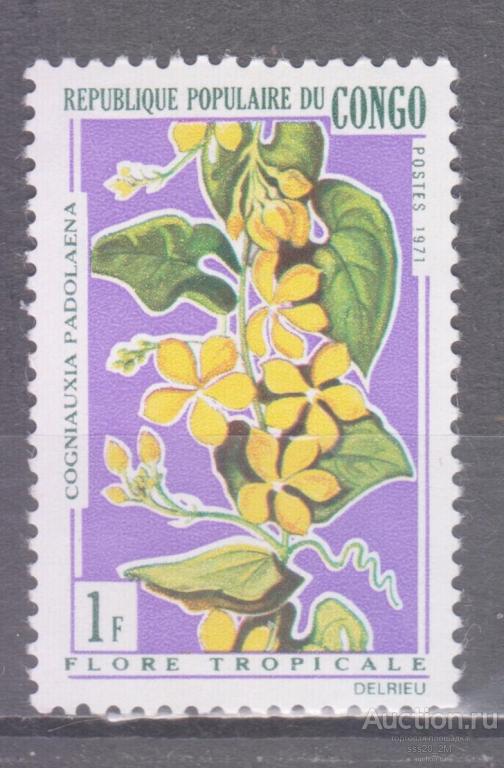 Конго Браззавиль 1971 цветы Mi272 MNH