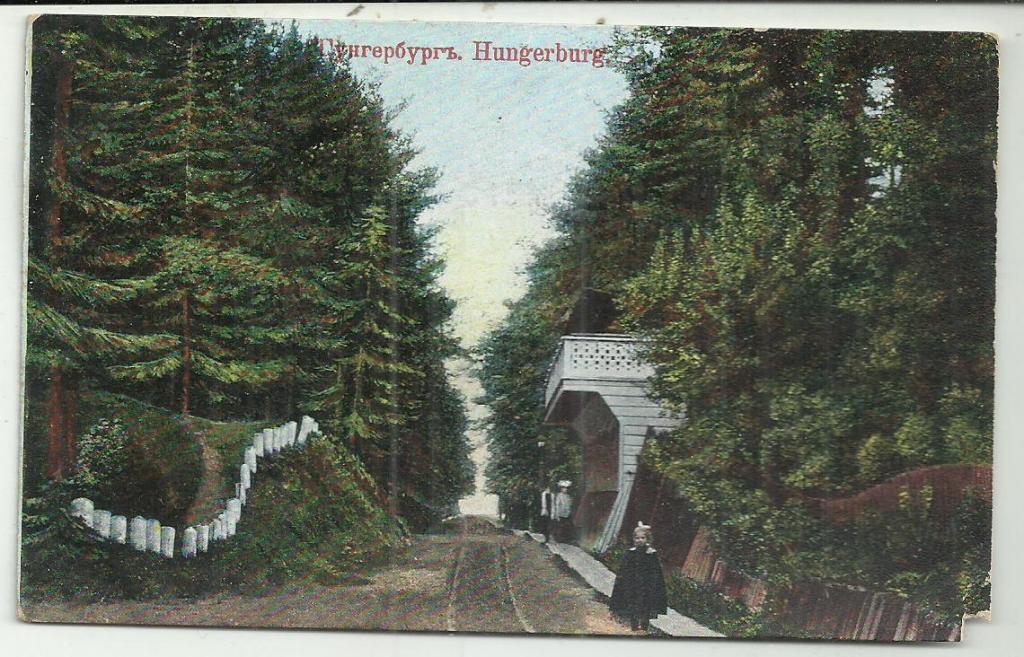 антикварная. ГУНГЕРБУРГ.аллея вид. изд.ТИЙКМАЦ. почта УСТЬ-НАРОВА. ЭСТЛ. - Балтийская ж.д. ДУДЕРГОФ.