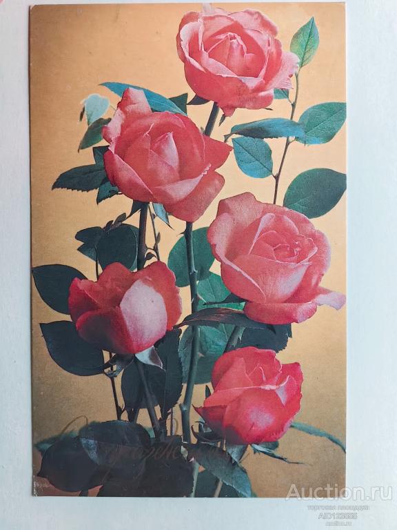 Открытка СССР С праздником Цветы Розы Костенко Планета 1982 год Чистая