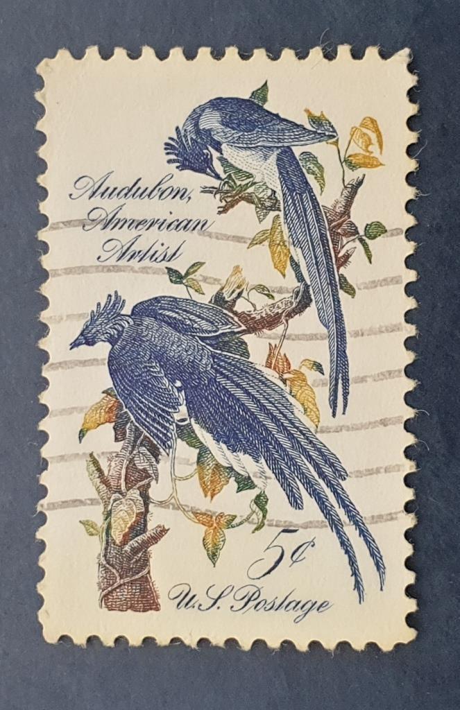 США 1963 Колумбийские сойки орнитолог Джон Джеймс Одюбон Sc# 1241 Used
