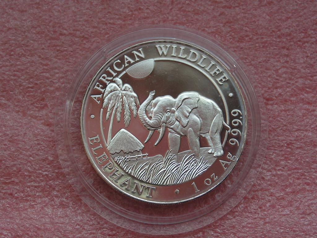 Сомали 100 шиллингов 2017 слон