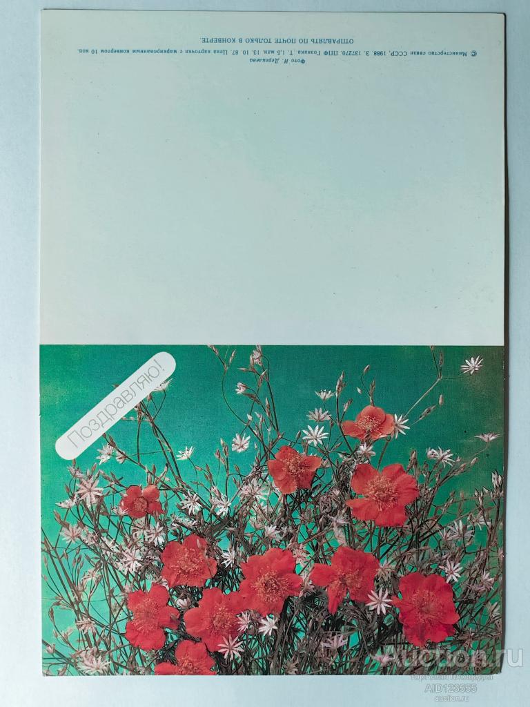 Открытка Поздравляю Дергилев 1988 год Цветы двойная чистая