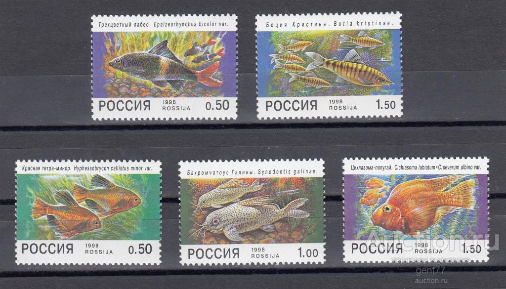 РОССИЯ 1998  Фауна Аквариумные рыбы Серия  Сост** MNH