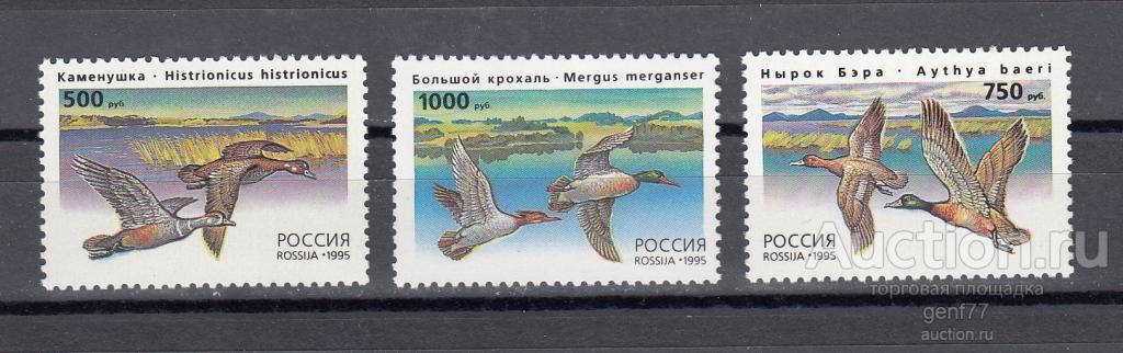 РОССИЯ 1995  Фауна  Птицы Утки  Серия  Сост** MNH