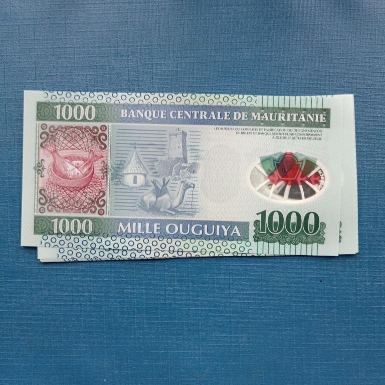 Мавритания 1000 угий 2014 год   пресс альбом 6